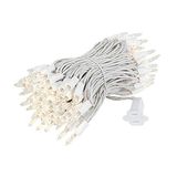 Novelty Lights 34 Feet 100 Ampul Akkor Mini Işık Dizesi, Beyaz Tel Üzerinde 4 İnç Aralıklı Şeffaf, UL Listeli Ticari Sınıf Kapalı/Açık Mini Işıklar, Uçtan Uca Bağlanabilir