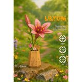 NoviHobby Ahşap Lilyum Maketi 3D Puzzle Ahşap Minyatür Maket Kiti DIY Kendin Yap