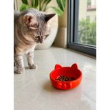 Novis Liora Papyon Model Beton Kedi Köpek Mama ve Su Kabı 16 cm Çap - Turuncu