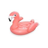 Novélune Deniz Malzemesi: Flamingo Şişme ile Rüya Gibi Bir Deneyim