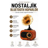 Novélune Nostaljik Radyo: Gramofon Görünümlü Mini Retro Bluetooth Hoparlör ve Plak Çalar