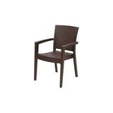 Novussi 4 Adet Novussi Rattan Paris Koltuk Kahve
