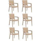 Novussi 6 Adet Cappuciono Paris Rattan Kollu Sandalye Koltuk