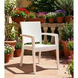 Novussi Paris Rattan Koltuk 4'lü Paket - Beyaz