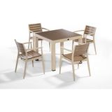 Novussi Regnum 4'lü Masa Takımı - Çöl Kahve-Cappuccino