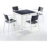 Novussi Seginus Bahçe Seti 4 Sandalye + 1 Camlı Masa Takımı Antrasit/beyaz
