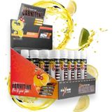 Nowup Nutrıtıon L-Carnitine-Limon Aromalı-Net 500Ml-Shot(25Ml-20Adet)Probiyotik Lif-Kilo Verme-Yağ Yakma-2000Mg