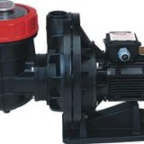 Nozbart 1 HP Monofaze İlk Seri Havuz Pompası