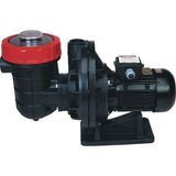 Nozbart 3 HP Monofaze İlk Seri Havuz Pompası