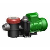 Nozbart Hamsi Serisi 1 Hp Monofaze Havuz Pompası