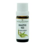 Npo Yogaroma Ferahlatıcı Aromaterapi 10ml Saf Ve Doğal Okaliptus Uçucu Yağ 10 ML