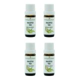 Npo Yogaroma Ferahlatıcı Aromaterapi 10Ml Saf Ve Doğal Okaliptus Uçucu Yağ 4 Adet