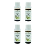 NPO Yogaroma Ferahlatıcı Aromaterapi Saf ve Doğal Okaliptus Uçucu Yağ (4 Adet (10mL), Okaliptüs)