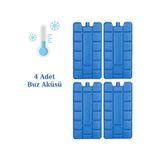 NS Reliable Buz Aküsü Kasedi Ice Box Soğuk Zincir - 4 Adet - Mavi