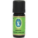 Nu-Ka Defne Essencıa Baharat Karanfil Meyvesi Aromatik Cilt Bakım ve Masaj Yağı 5 ml