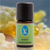 Nu-Ka Defne Essencia Günlük Yağı ( Arabistan ) 5 ml