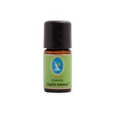 Nu-Ka Defne Essencıa Ingiliz Nanesi Uçucu Yağı 5ml