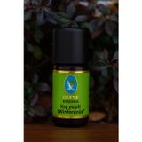 Nu-Ka Defne Essencia Kış Yeşili Organik (Wintergrün) %100 Saf Uçucu Yağ 10Ml