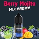 Nuclear Kimya Mix Aroma Berry Mojito Limon Böğürtlen Mango Gıda Aroması 10 ml