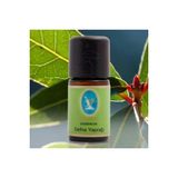 Nuk 10 Ml Defne Yapragi Yagi