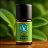 Nuka Defne Esencia Ada Çayı* Organik %100 Saf Uçucu Yağ - 10ml