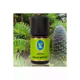 Nuka Defne Esencia antikbaharat0014gk Nuka Organik Beyaz Göknar Yağı 5 Ml