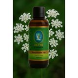 Nuka Defne Esencia Havuç Tohumu Yağı - Geleneksel %100 Saf Sabit Yağ - 30ml