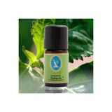 Nuka Defne Esencıa Nuka Tefarik (Patchouli) Yagi Organik 10 Ml