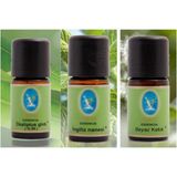 Nuka Defne Organik Okaliptüs Ingiliz Nanesi Beyaz Kekik Yağı 10 ml 3 'lü Paket Aromaterapi