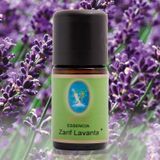 Nuka Essenica Organik Zarif 10 ml Lavanta Yağı