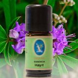 Nuka Hayıt Tohumu Yağı 5ml