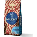numerica Guatemala Single Origin Kahve 1000 G - Sifon (Syphon)