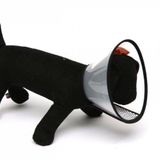 Nunbell 35,5 cm Elizabet Kedi ve Köpek Yakalık
