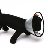 Nunbell Elizabet Kedi ve Köpek Yakalık 30cm