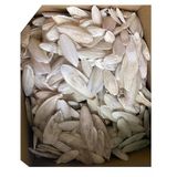 Nunbell Kırık Mürekkep Balığı Kemiği (Kalamar) 500 Gr