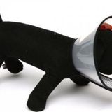 Nunbell L Boynu 35-40 cm Olan Köpeklere 18 cm Genişlik Elizabeth Yakalık