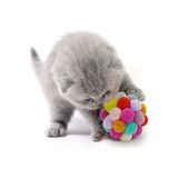 Nunbell Renkli Ponpon Top Zilli Kedi Oyuncağı 7cm