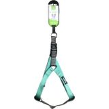 Nunbell Turkuaz Köpek Göğüs Tasması 1,5 Cm (Göğüs: 30 Cm - 50 Cm)
