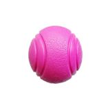 Nunbell Yavru ve Küçük Irk Zıplayan Sert Top Köpek Oyuncağı 4.5 cm