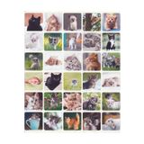 NUNUKİ Nunuki Yavru Kediler Sticker Seti Sevimli Kedicik Sticker Tatlı Minik Kedi Çıkartma Etiket NSTI0059