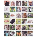 Nunuki Yavru Kediler Sticker Seti Sevimli Kedicik Sticker Tatlı Minik Kedi Çıkartma Etiket NSTI0059 - -- - 1 Adet