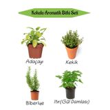 Nura Botanik Aromatik Kokulu Mutfak Seti, Adaçayı+Kekik+Biberiye+Itır Çiçeği Fidesi, 4 Adet