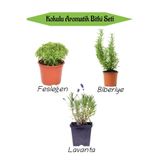 Nura Botanik Aromatik KOKULU Mutfak Seti Fesleğen Fidesi+Biberiye Fidanı+Lavanta Fidesi 3 ADET