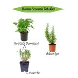 Nura Botanik Aromatik Kokulu Mutfak Seti, Itır Çiçeği + Biberiye Fidanı + Lavanta Fidesi, 3 Adet