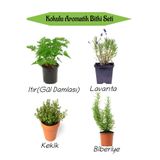 Nura Botanik Aromatik KOKULU Mutfak Seti Itır Çiçeği+Lavanta+Kekik+Biberiye Fidesi 4 ADET