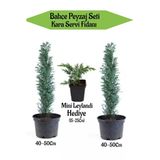 Nura Botanik Bahçe Peyzaj Seti, 2 Adet Kara Servi Fidanı 40-50cm + Hediye Mini Leylandi Fidanı 15-25cm, Çok Renkli