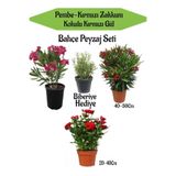 Nura Botanik Bahçe Peyzaj Seti, Kırmızı Gül Fidanı, Pembe Zakkum, Kırmızı Zakkum, Biberiye Hediyeli