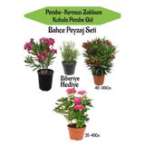Nura Botanik Bahçe Peyzaj Seti, Pembe Zakkum, Kırmızı Zakkum, Pembe Gül Fidanı, Biberiye Hediye