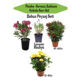 Nura Botanik Bahçe Seti, 1 Adet Kırmızı Zakkum, 1 Adet Pembe Zakkum, 1 Adet Sarı Gül, Hediye Lavanta