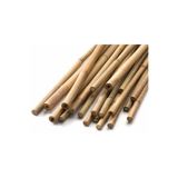 Nura Botanik Bambu Bitki Destek Çubuğu 60cm, 10'lu Set, Çok Renkli